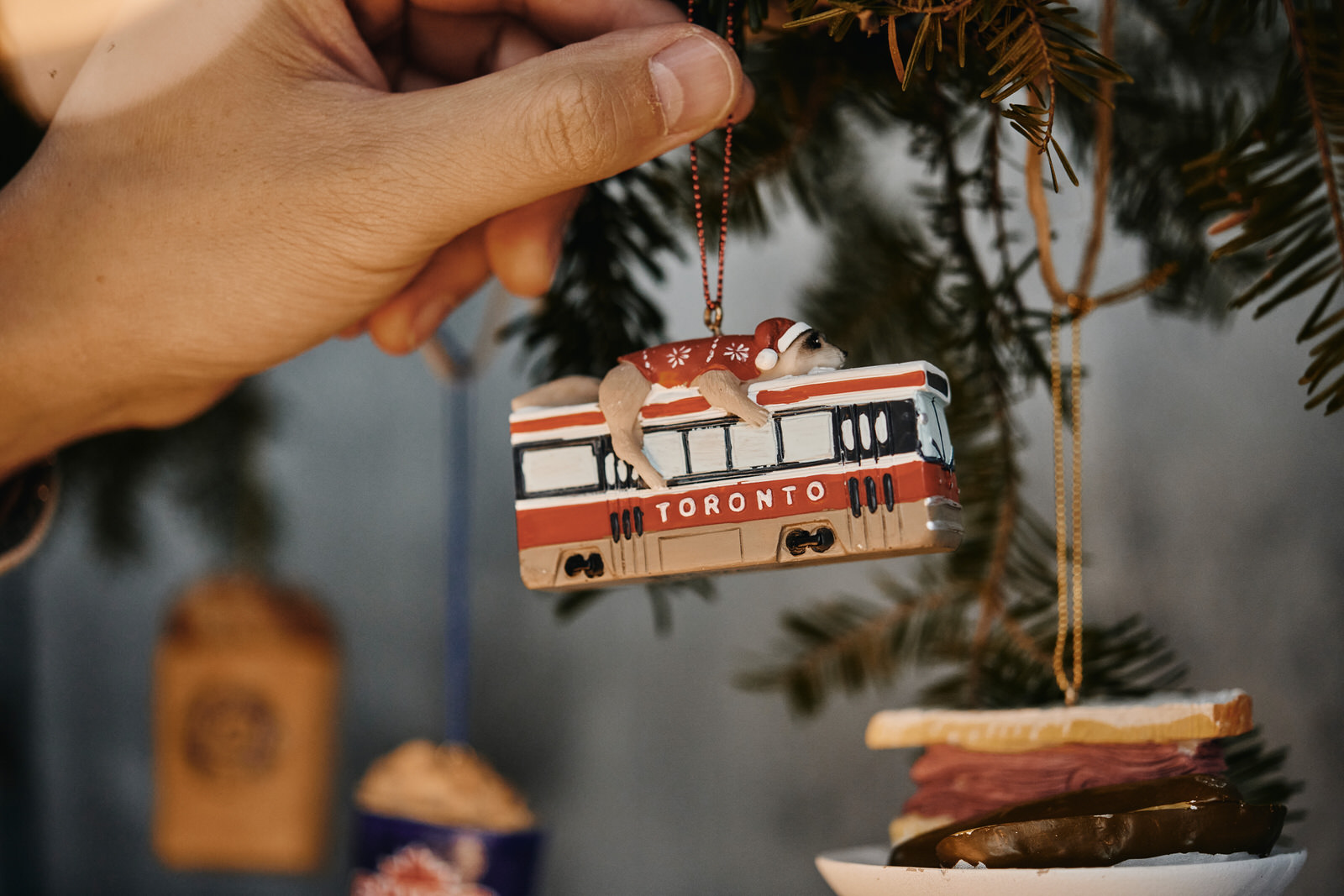 akFAORO | Toronto Photographer