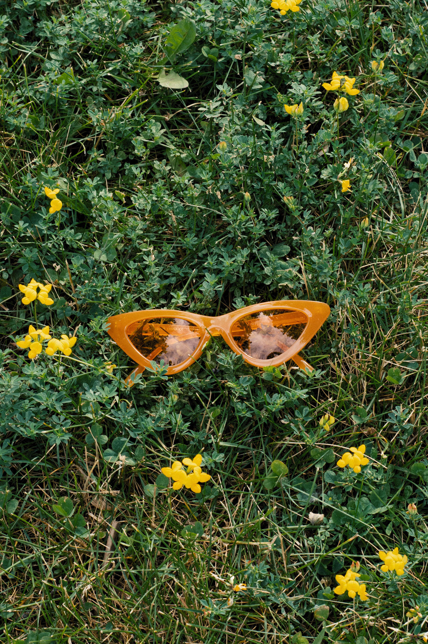 akFAORO | Toronto Photographer